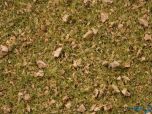 Master-Grasmischung Almwiese 2.5 bis 6 mm 50 Gramm
