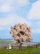 Obstbaum blühend