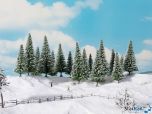 Schneetannen 6 Stück 14 - 18 cm hoch für H0, TT und 0