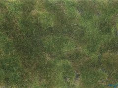 Bodendecker-Foliage olivgrün 