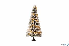 Beleuchteter Weihnachtsbaum