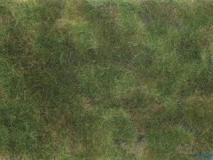 Bodendecker-Foliage olivgrün 